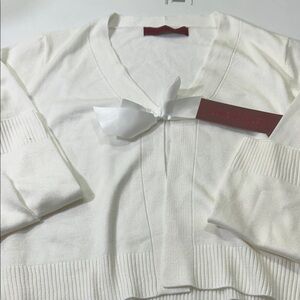 Elegant Women's V-Neck Sweater in Cream